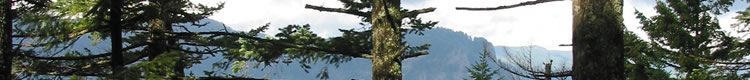 ArcGIS
